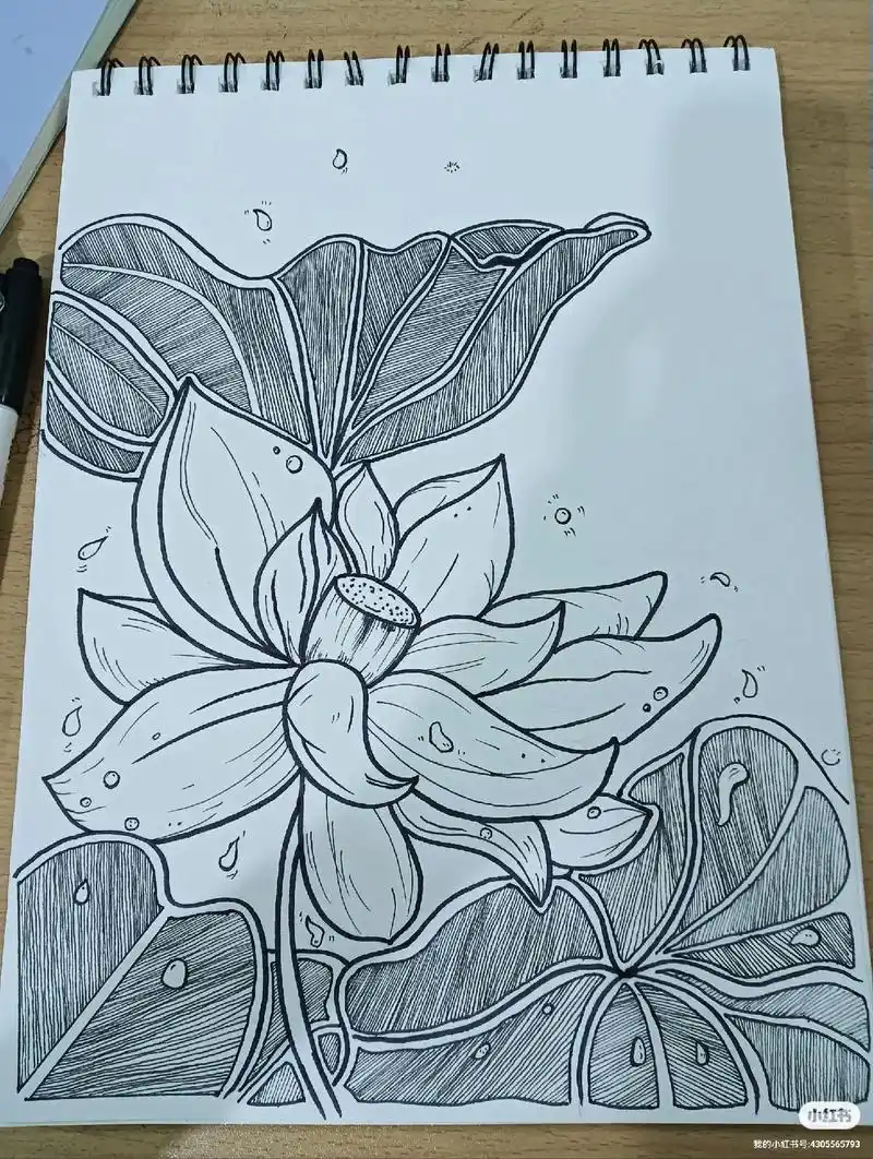 荷花线稿#怎样画荷花 #荷花简笔画 #手绘荷花铅笔画 #荷花 - 抖音