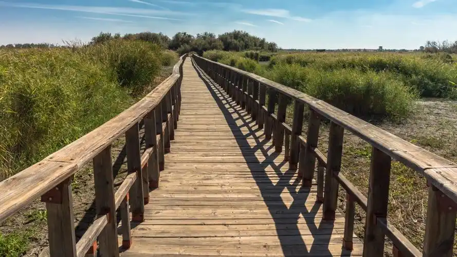 木质栈道风景高清图片
