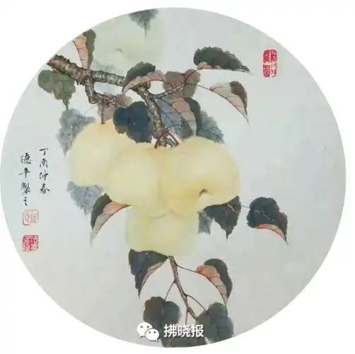 宿州映像砀山梨画且留梨香于纸上