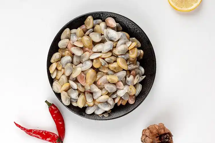 大海瓜子丨名副其实的小小贝类生物丨飞鸟电商_陈默工作室-站酷zcool