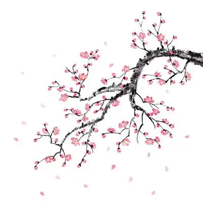 插画素材古风花鸟元素手绘水墨花国画风鸟竹子素材简约中国风水墨飞鸟