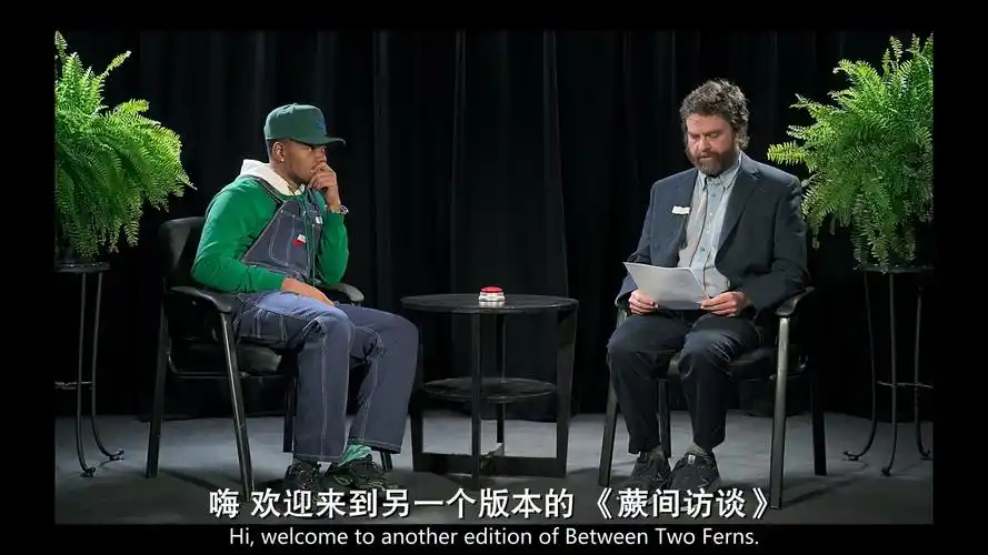 蕨间访谈电影版bd英语中英双字