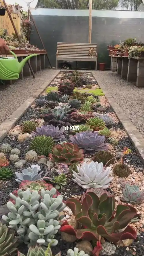 园艺  #景观设计  #花园  #多肉花园  #多肉  #多肉植物  #多肉花盆