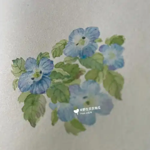 我的绘画成长史  #水彩画教程  #阿拉伯婆婆纳