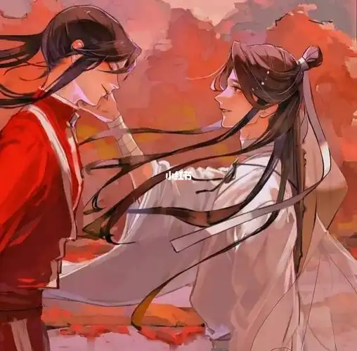 天宫赐福情侣头像  #天官赐福花怜  拿图私信或者关注才能回复哦