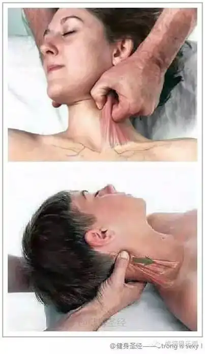 学会这些手法 好舒服!再也不用去按摩店了!