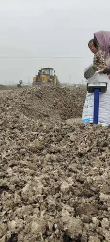 渭南膨化鸡粪使农作物茁壮成长