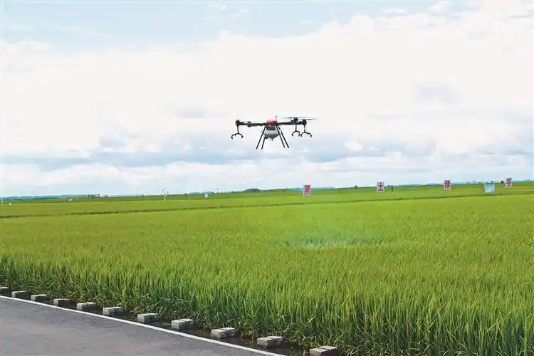 无人机在进行植保作业.陈志伟摄