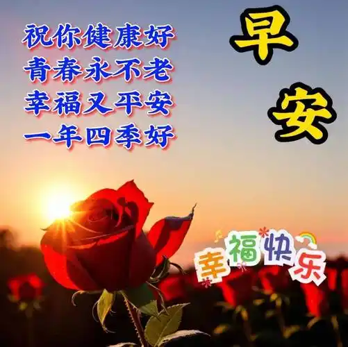 11月30日周四早上好,最新版漂亮早安祝福语表情图片大全