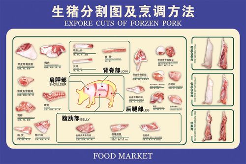 m768市场超市猪肉分割分切图部位图烹调方法328写真海报印制喷绘