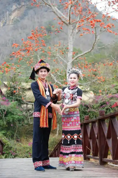 是恰逢其时的浪漫开端阿哥阿妹木棉树下的邂逅他们唱平凡又缠绵的黎乡