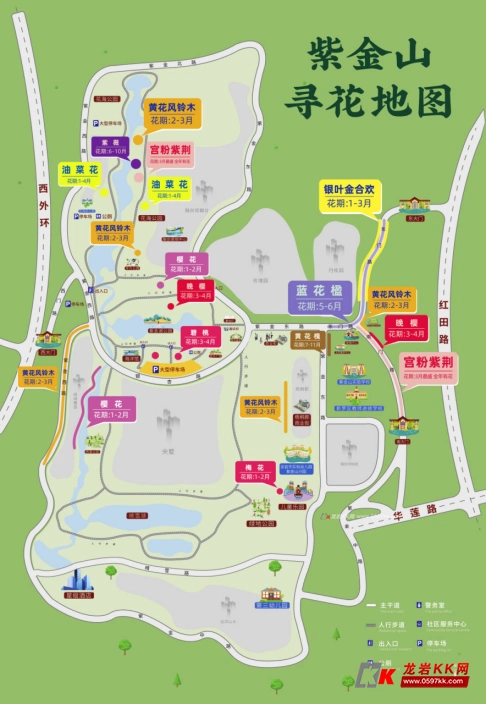 美哭龙岩也有网红油菜花打卡地啦