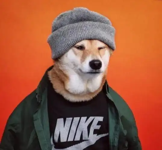 狗头大佬头像无水印 - 知乎