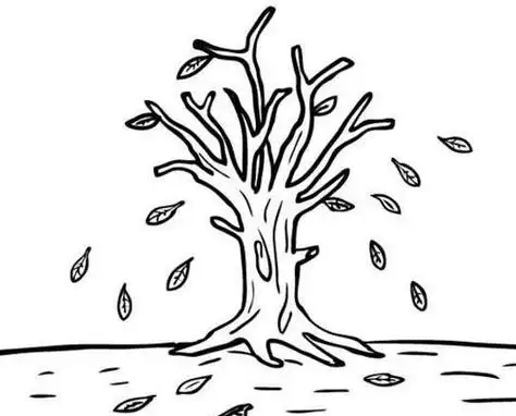 秋季枫林简笔画