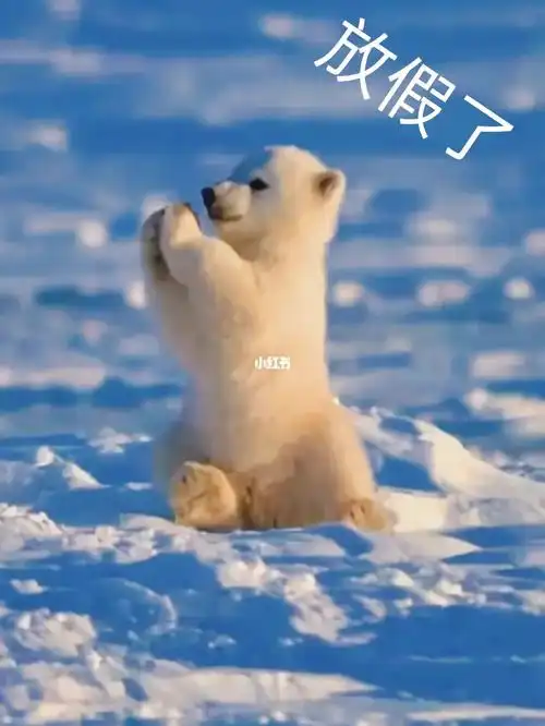 小学生们终于解放了,真的感谢老天对我们的观爱,也感谢粉丝们一直对我