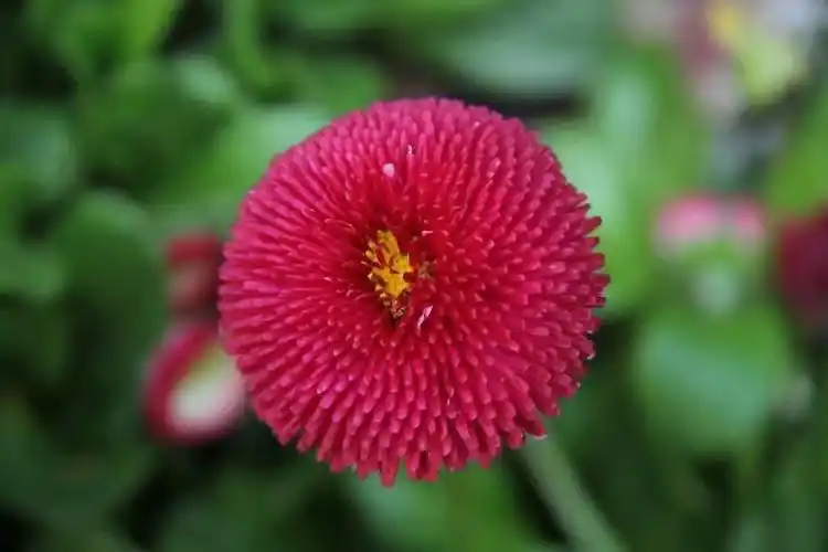 继续宅在家里,静等春暖花开.