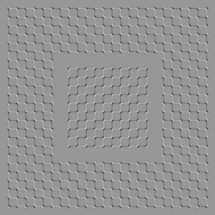 8张神奇的图片,盯着看15秒,你还相信自己的眼睛吗?