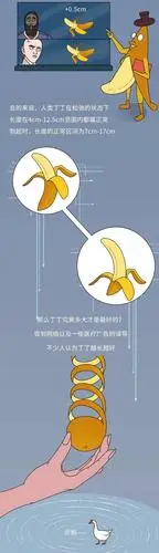 18cm属于什么水平来看这组关于丁丁的私密数据