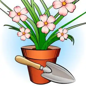 铲的移栽植物图片