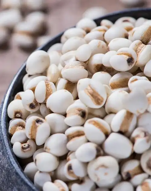 薏米400g 农家种植新鲜薏苡仁薏仁米