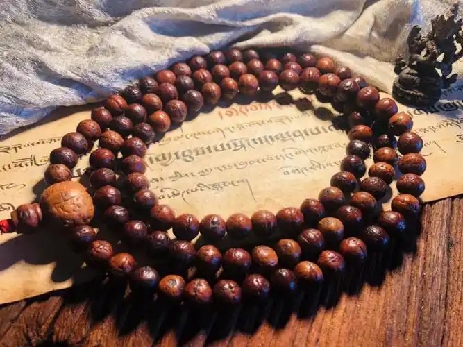 藏地10凤眼108足数,卡死10.5以内,单圈价格走#文玩 #藏传 #凤眼菩提