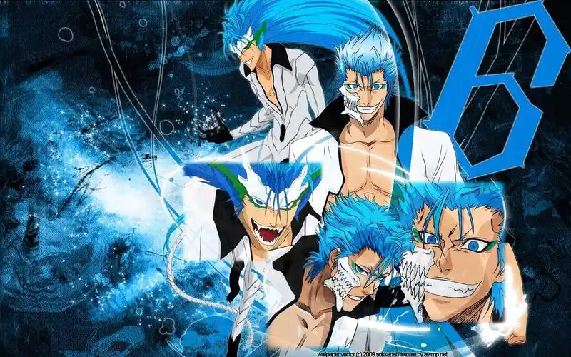 请多指教,死神.破面no.6 葛力姆乔.