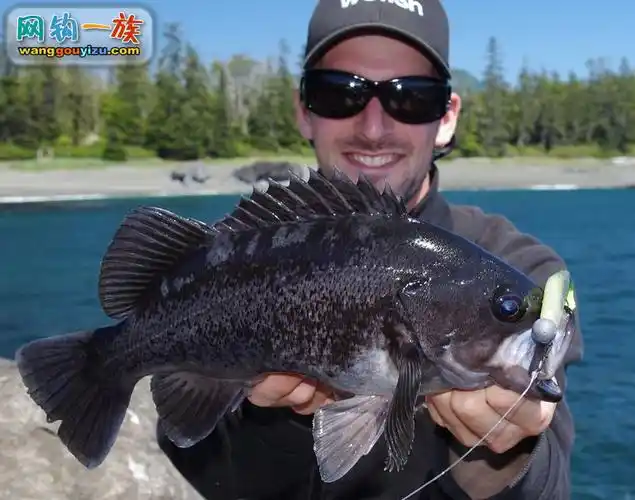 国外的黑鮶鱼路亚黑鮶黑鲈鱼