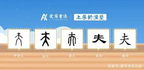 爱写一字丨"夫"字的讲解!