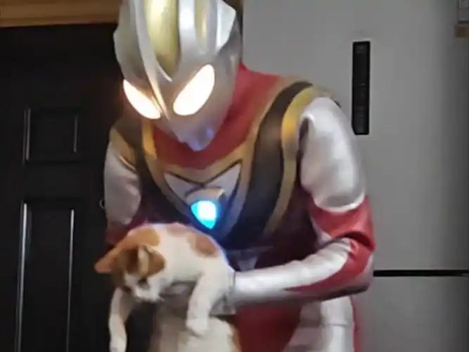 【盖亚奥特曼动作卡点(练习视频)奥特曼皮套cosplay】