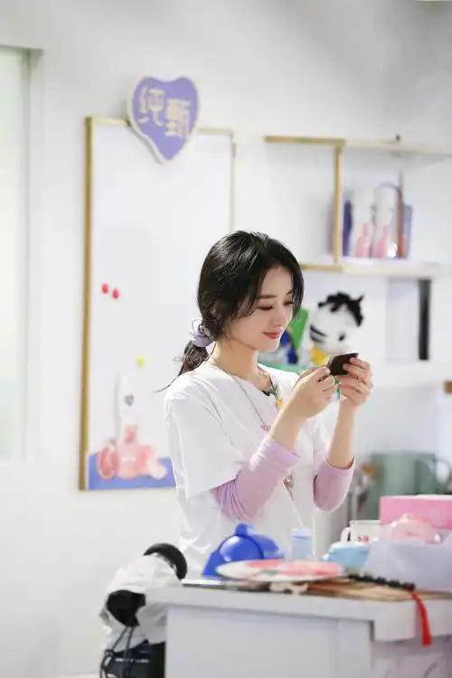 《中餐厅4》完美达成营业目标 赵丽颖暖心解围获好评