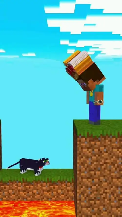 史蒂夫拯救艾利克斯