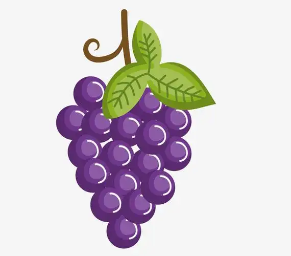 卡通手绘紫色的葡萄