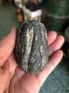 黑龙江天然草花玉桫椤玉原石手把件雕刻料摆件153克