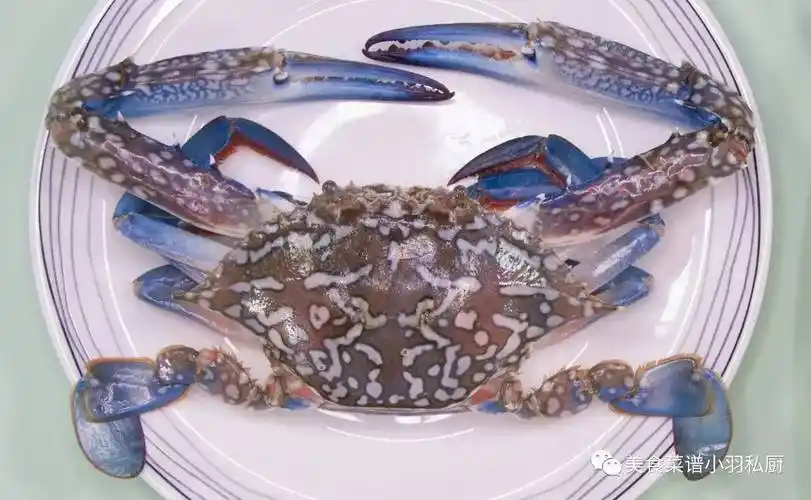 把螃蟹倒栽葱扎在蛋里,鲜翻了锅盖