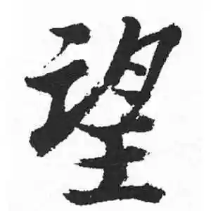 望字的楷书怎么写,望的楷书书法 - 爱汉语网