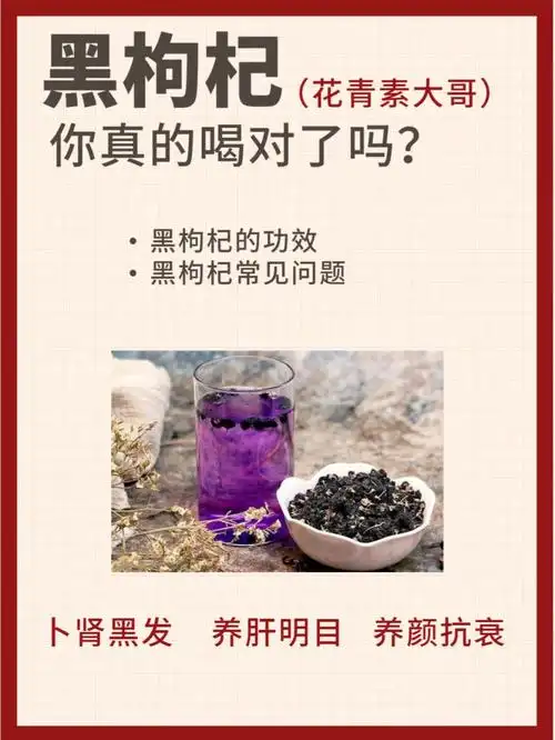 抗氧化黑枸杞的666大功效75