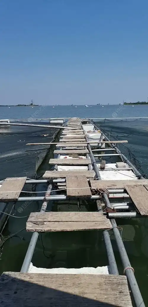 骆马湖鱼排上筏钓…… - 钓鱼之家