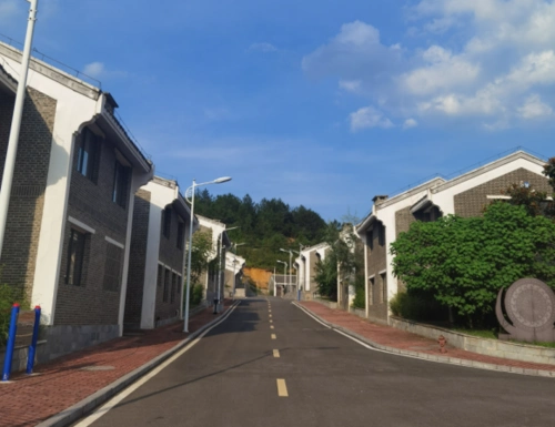 【巡察故事】幸福路上新农村