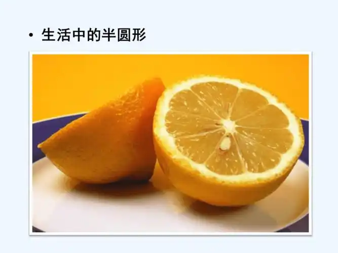 有趣的半圆形课件4ppt