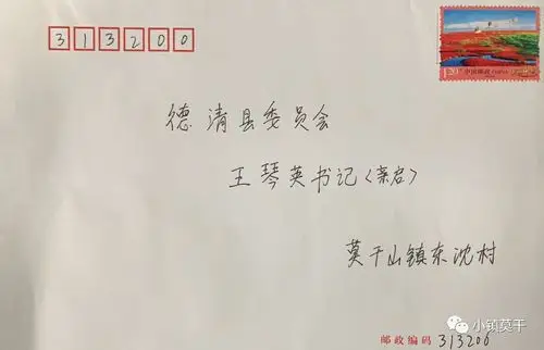 "请县委书记王琴英亲启" ,武汉来德大学生给德清写了一封信