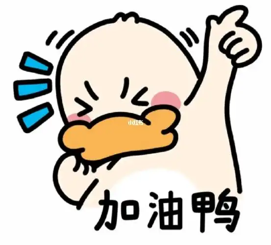 加油鸭