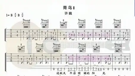 青鸟青鸟ii-许巍 动态吉他谱 吉他弹唱谱