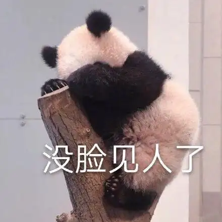 没脸见人了_没脸见人表情