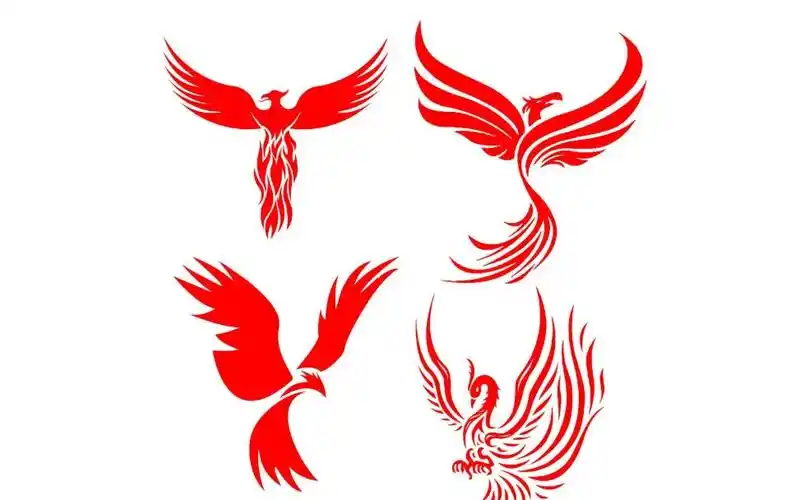 你知道吗,凤凰图腾最早象征男性力量与权力