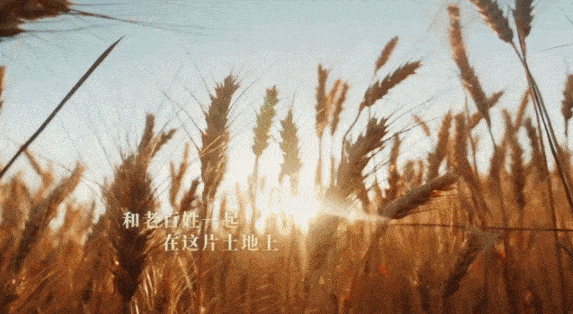 573_314gif 动态图 动图