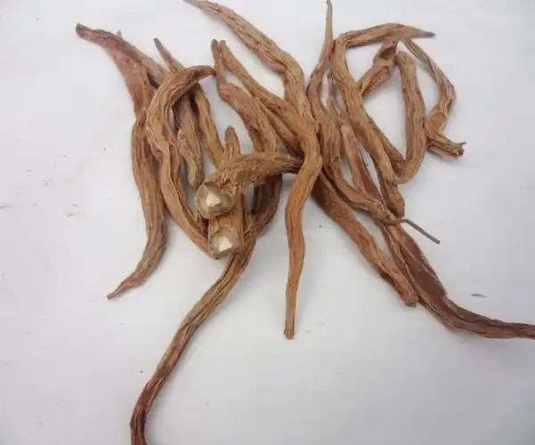 百部儿童剧海选大赛