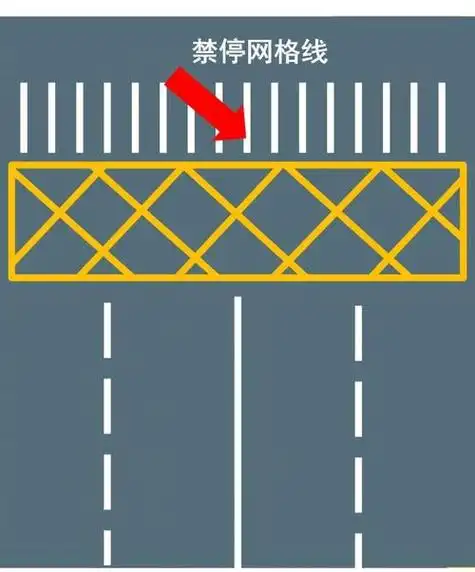 地下车库中的网状线是什么,请问马路上网状线是什么意思? - 综合百科