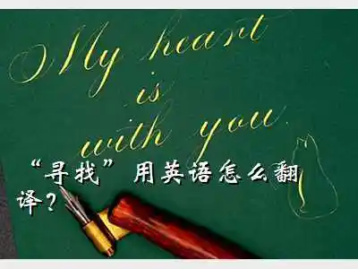 消防栓英语,"寻找"用英语怎么翻译?