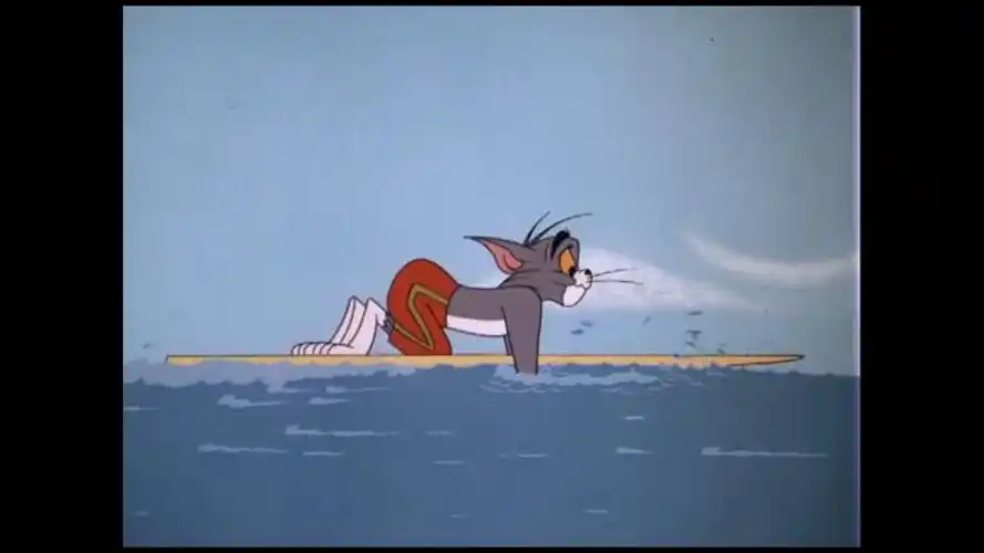 【猫和老鼠】冲 浪 的 猫