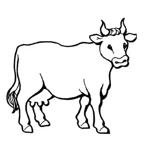 幼儿简笔画牛的画法